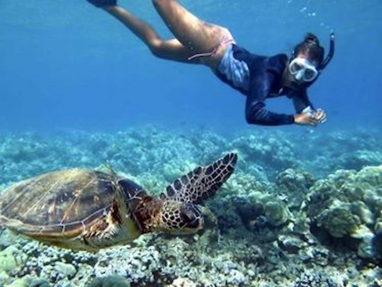 El Jardin De Shambala Hotell Gili Air Exteriör bild